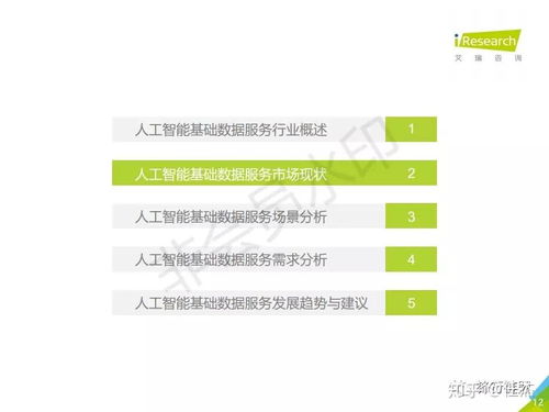 2019年中國(guó)人工智能基礎(chǔ)數(shù)據(jù)服務(wù)白皮書 驅(qū)動(dòng)智能未來(lái)的核心基石